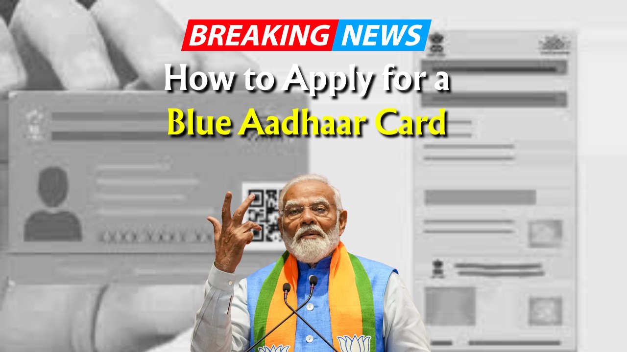 Blue Aadhaar Card